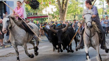 Fêtes à Sommières