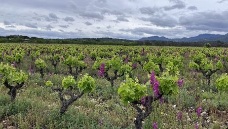 Sauver les propriétés agricoles